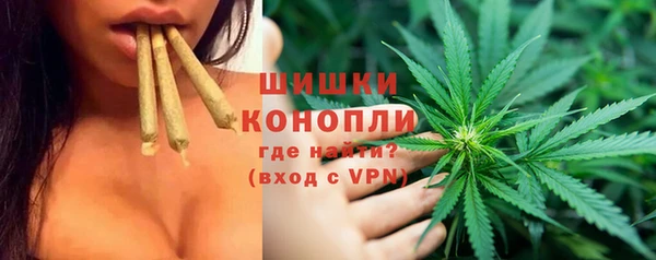 PSILOCYBIN Алзамай